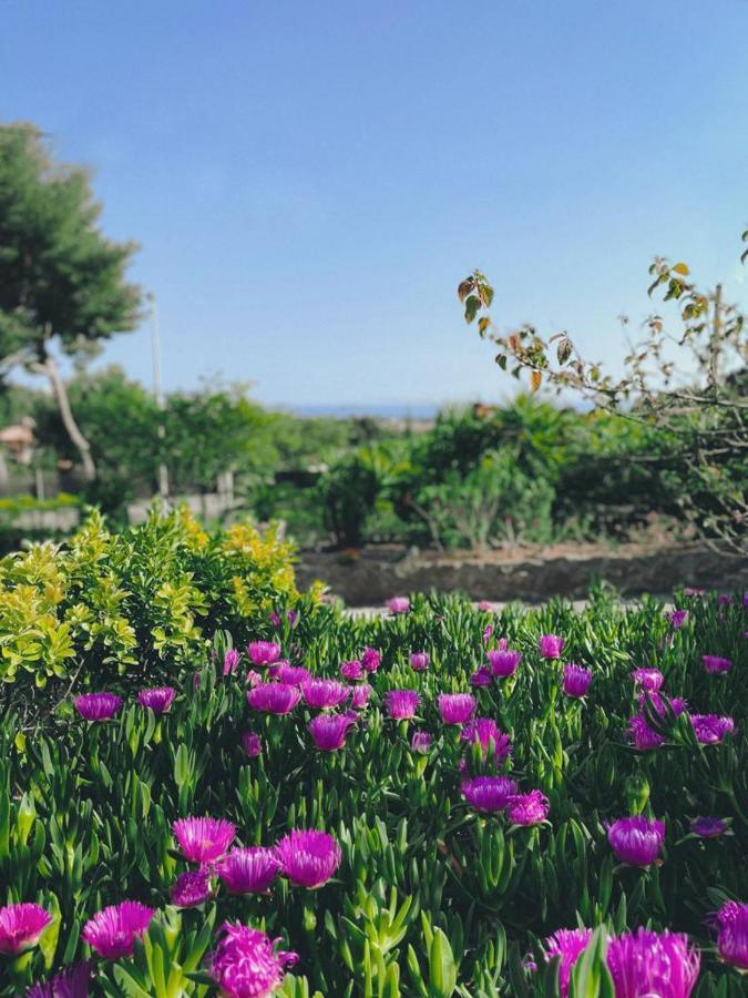 Villa Cocody Bandol Eksteriør bilde