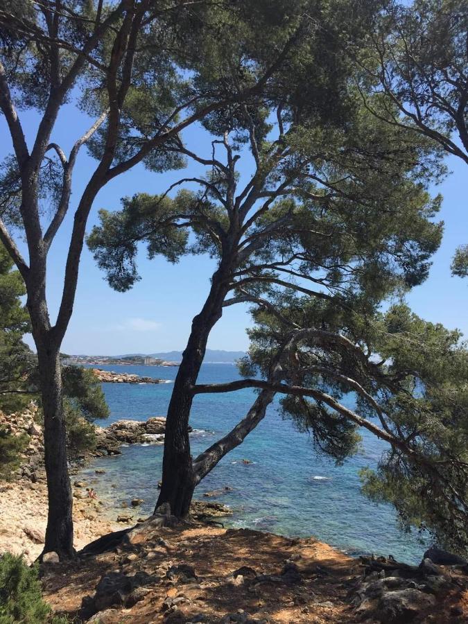 Villa Cocody Bandol Eksteriør bilde