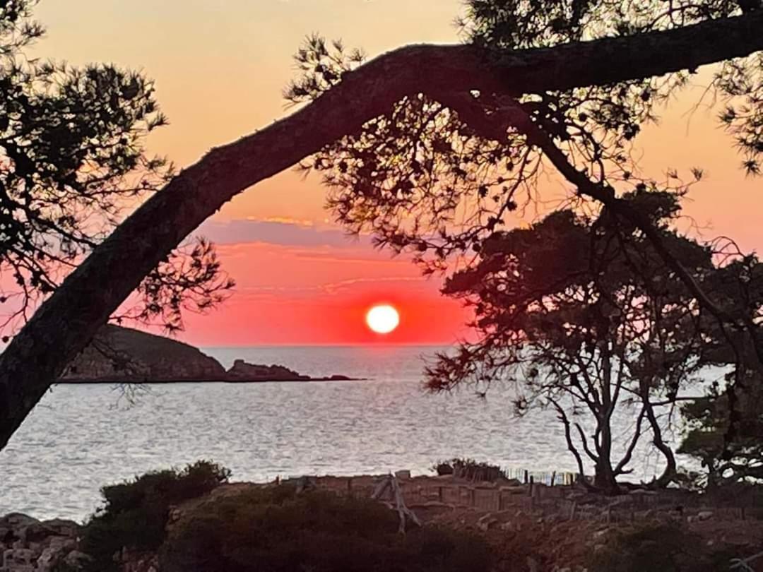 Villa Cocody Bandol Eksteriør bilde