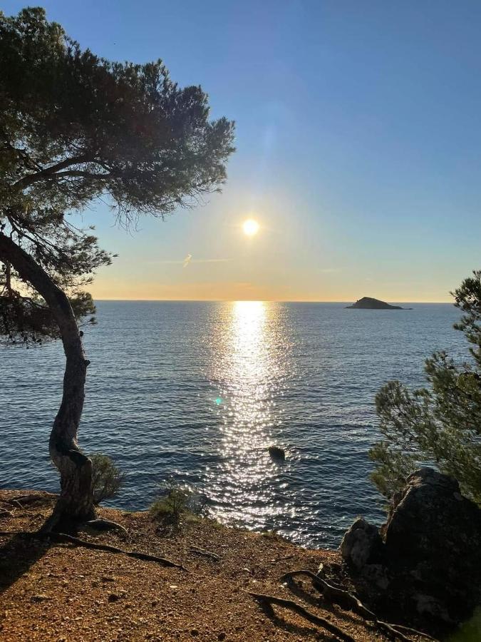 Villa Cocody Bandol Eksteriør bilde