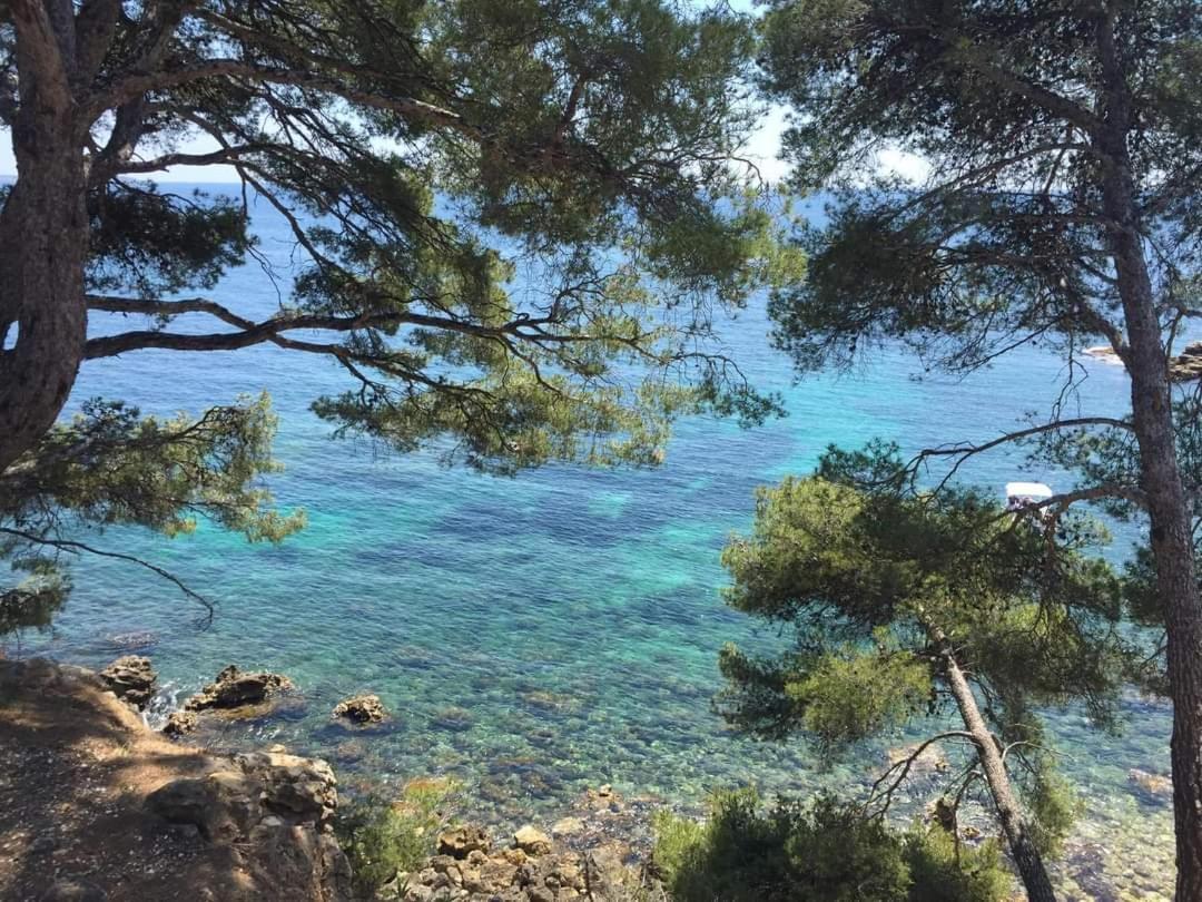 Villa Cocody Bandol Eksteriør bilde