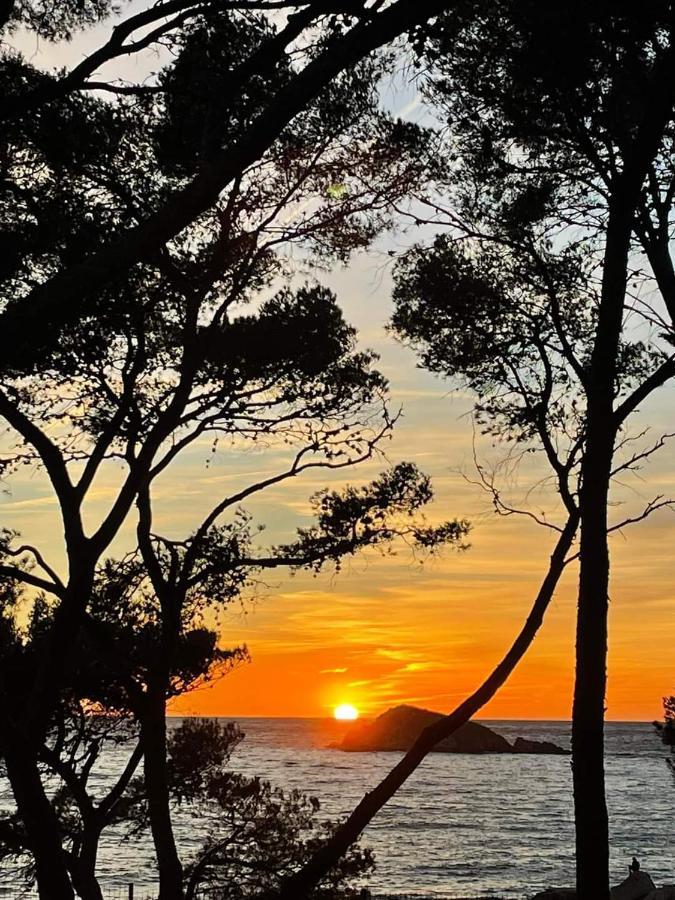 Villa Cocody Bandol Eksteriør bilde